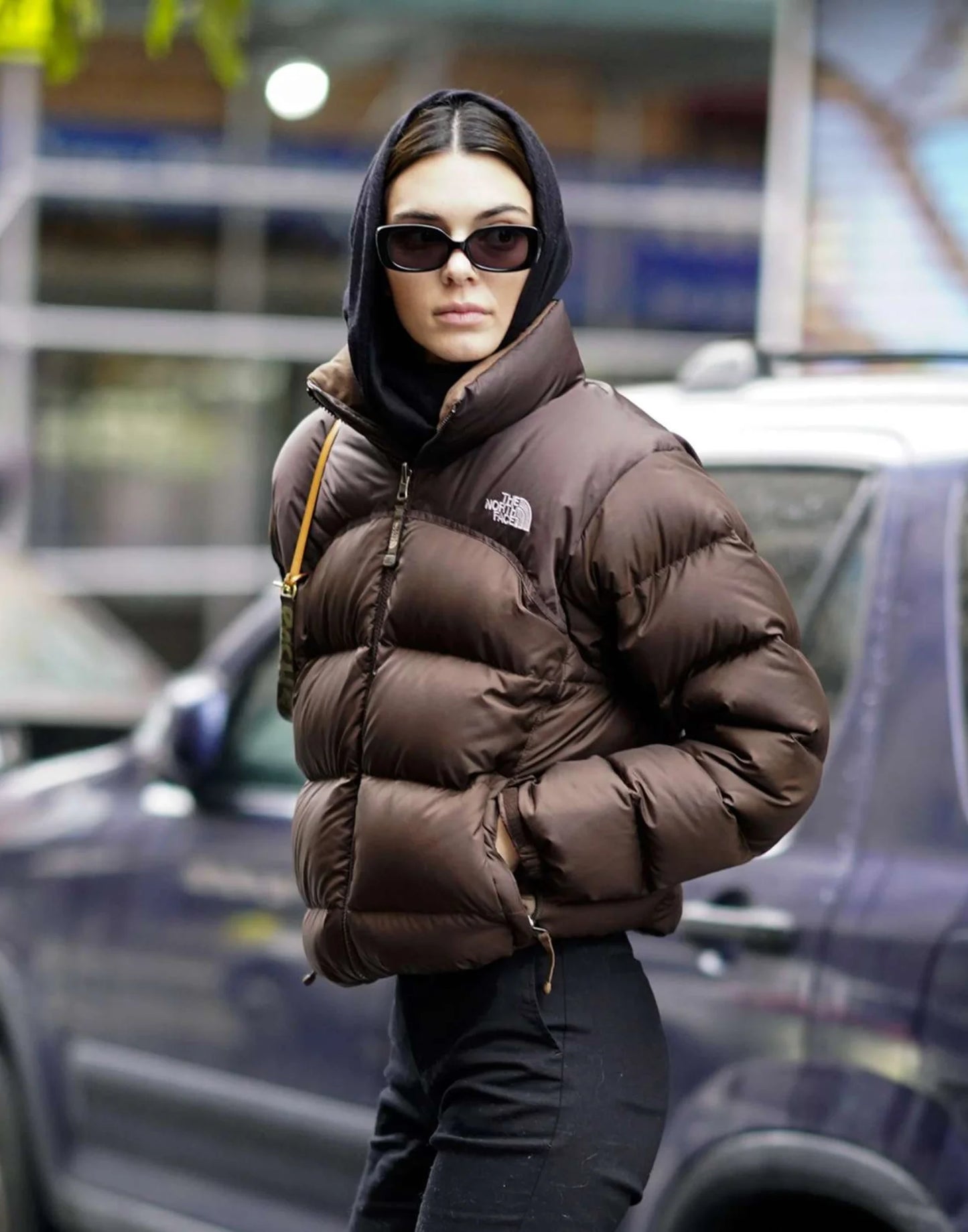 Kendall Jenner North Face Brown Jacket