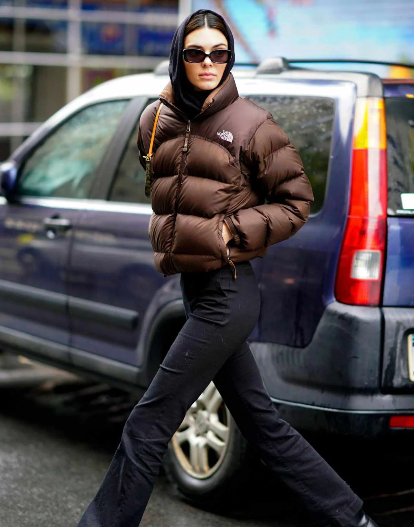 Kendall Jenner North Face Brown Jacket