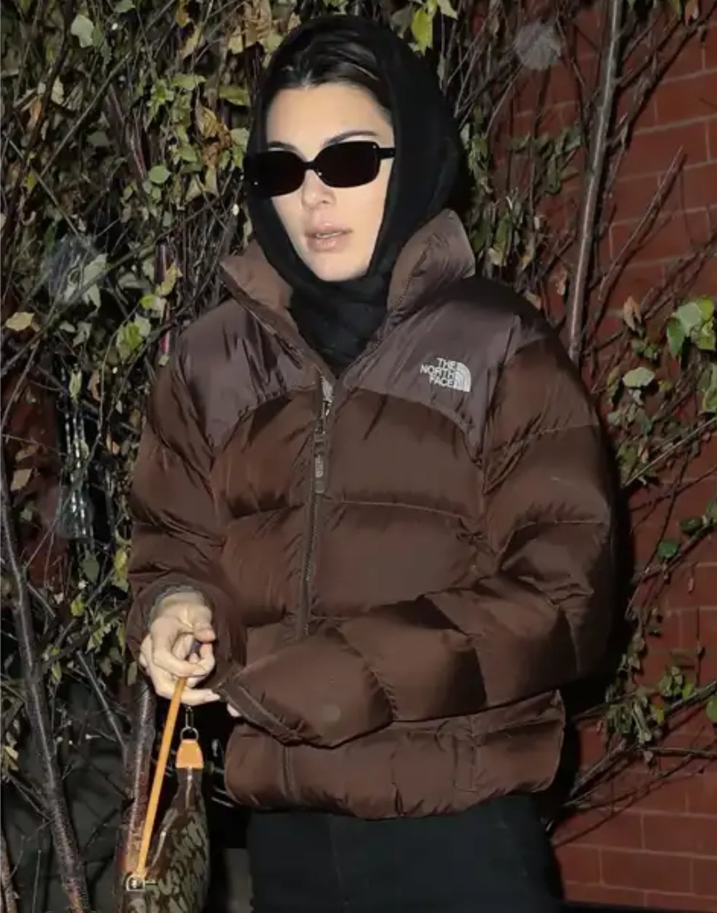 Kendall Jenner North Face Brown Jacket